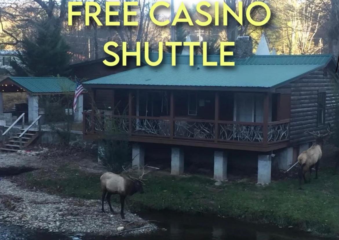 Qualla Cabins And Motel Cherokee Near Casino Whittier Exterior foto